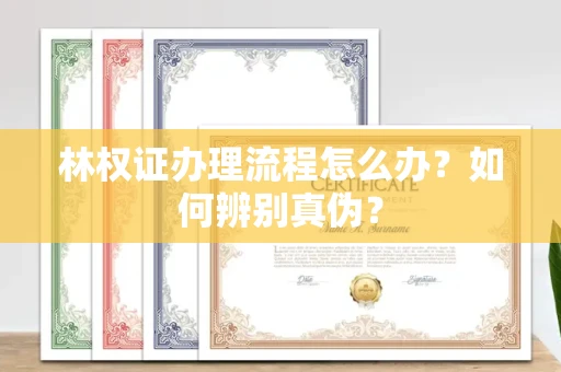 郑州林权证办理流程怎么办?如何辨别真伪?